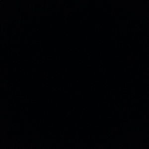 Meet your Posher, Cody